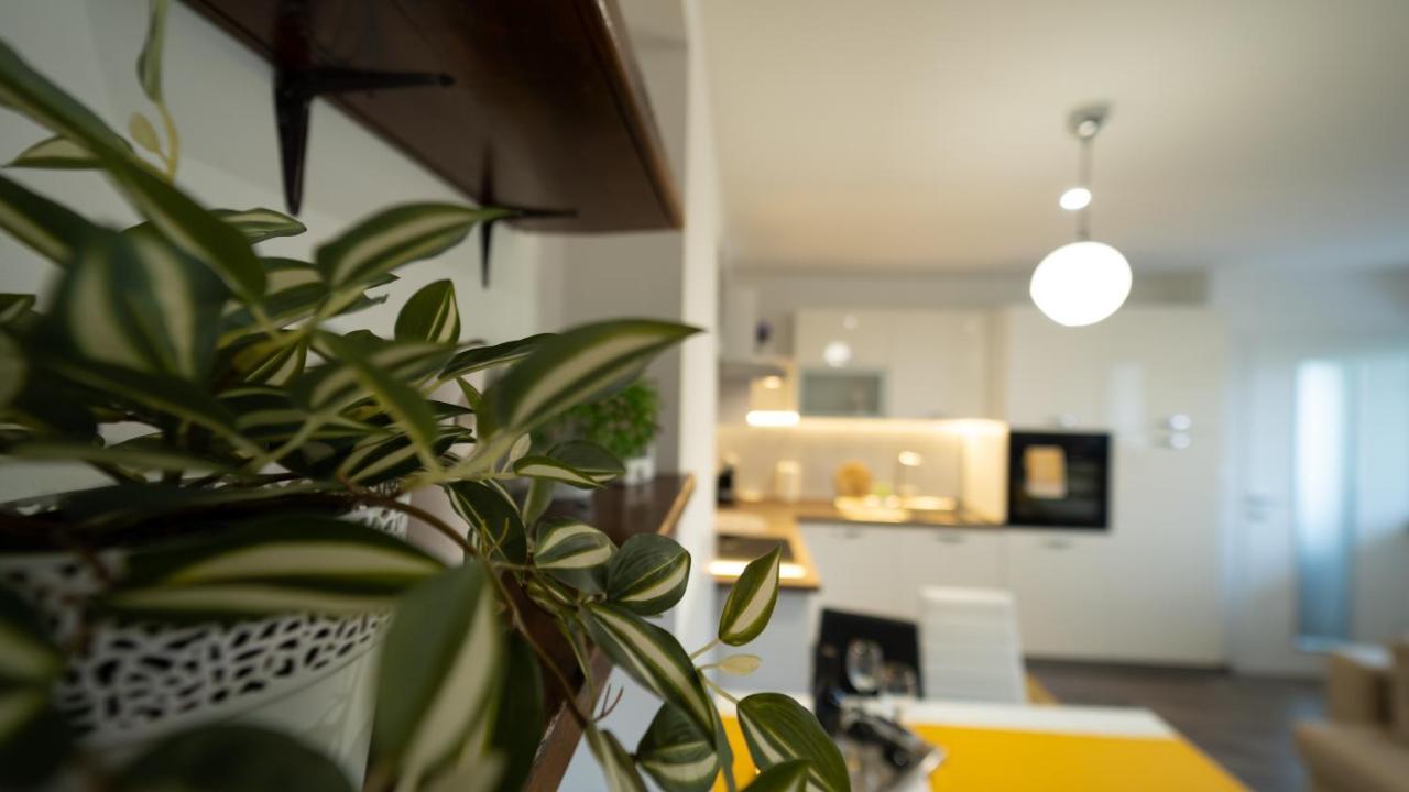 Gogo Apartment เดลนิคเซ ภายนอก รูปภาพ